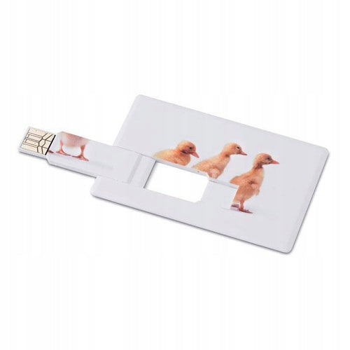Credit Card USB Flash Drive 16GB