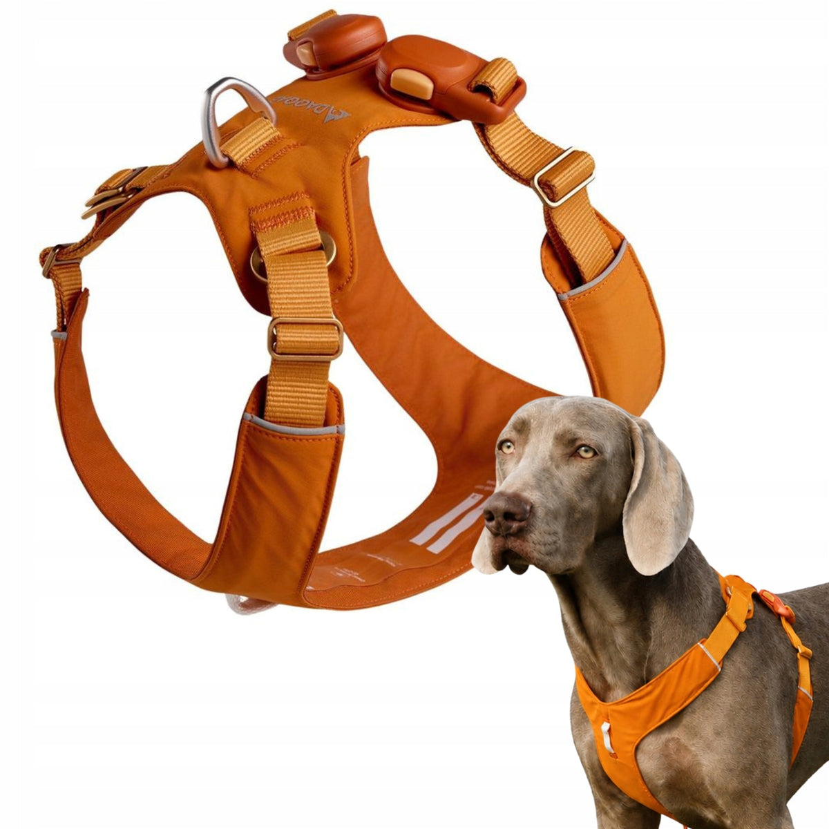 DAQQAB OUTDOOR RANGE DOG HARNESS MAGNETIC BUCKLE – ORANGE, XL