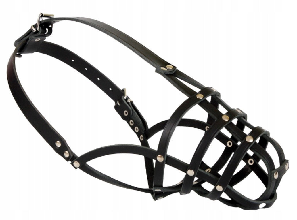 DINGO Leather muzzle for Spaniel dog – riveted No. 3