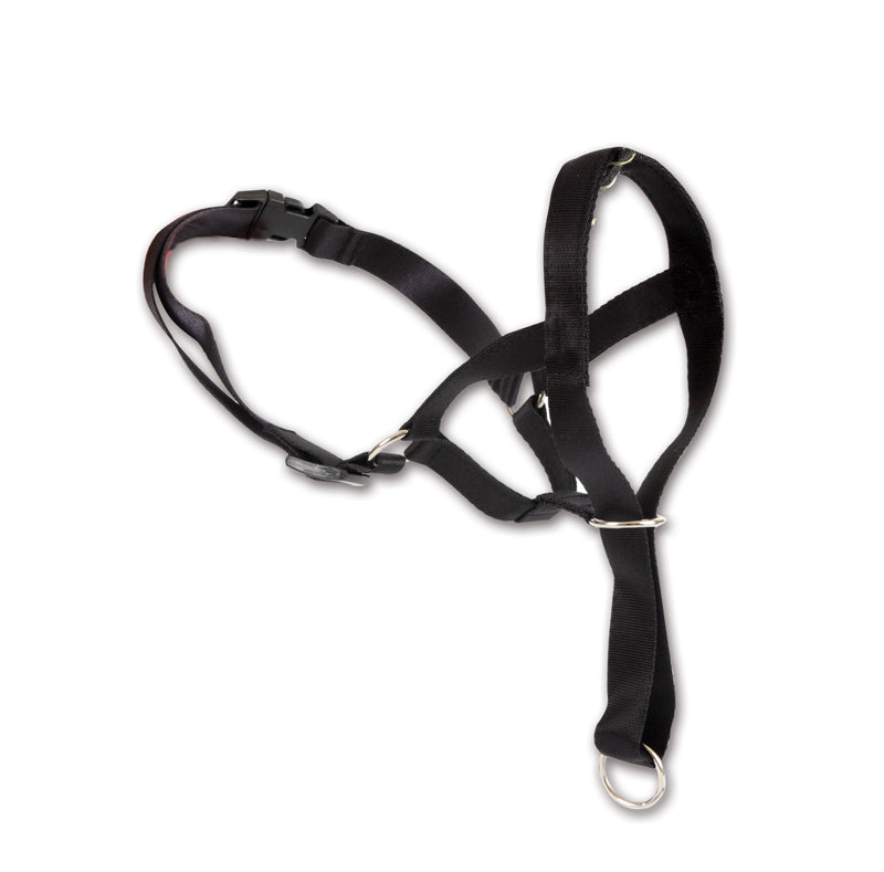 DINGO MUZZLE FOR DOG BRIDLE CANTAR L