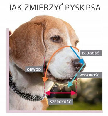 DINO Metal muzzle for dog No. 3a Spaniel Mini Manufacturer code 33060