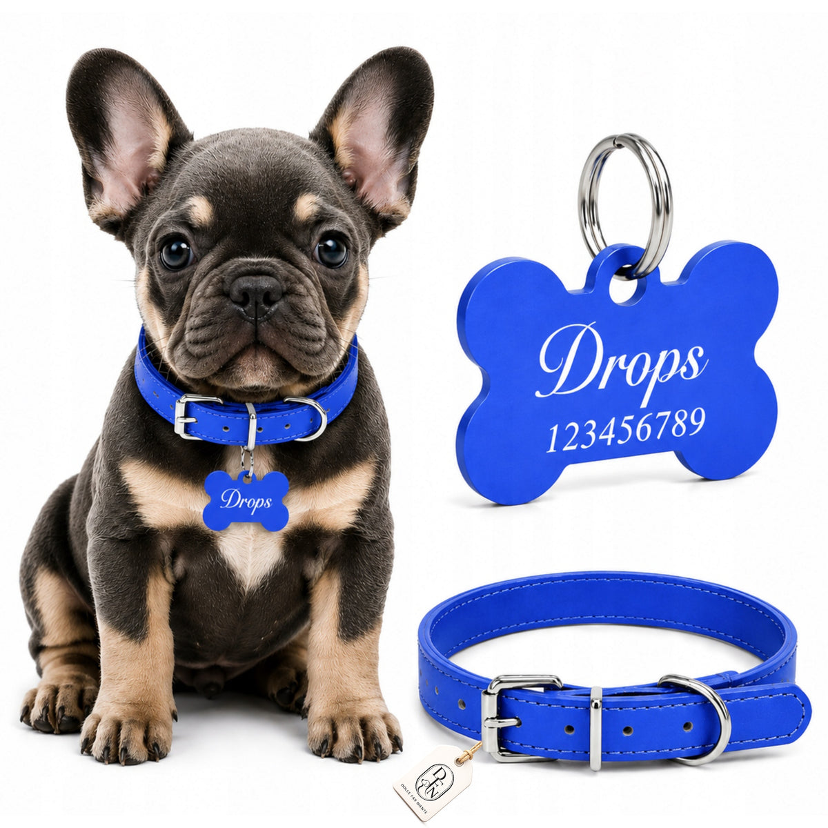 DOG COLLAR BLUE ADJUSTMENT ADDRESS CARD PERSONALIZATION ENGRAVING PUPPY