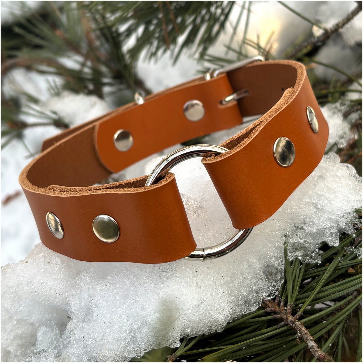 DOG COLLAR WILD LEATHER HUNTING O-RING STRONG 100% COW LEATHER M Packaging status original