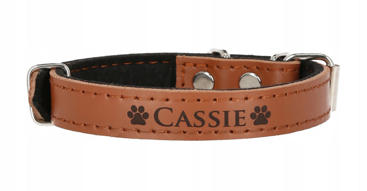 DOG COLLAR WITH NAME ENGRAVING LEATHER 33-41cm Roz M Brand Bruno Leatherworks