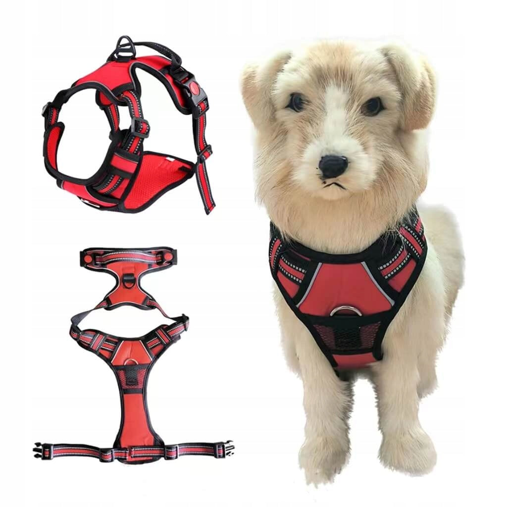 DOG GUARD BRACES STRONG NELSON-X SALLY PRESSURE-FREE ROS. XL