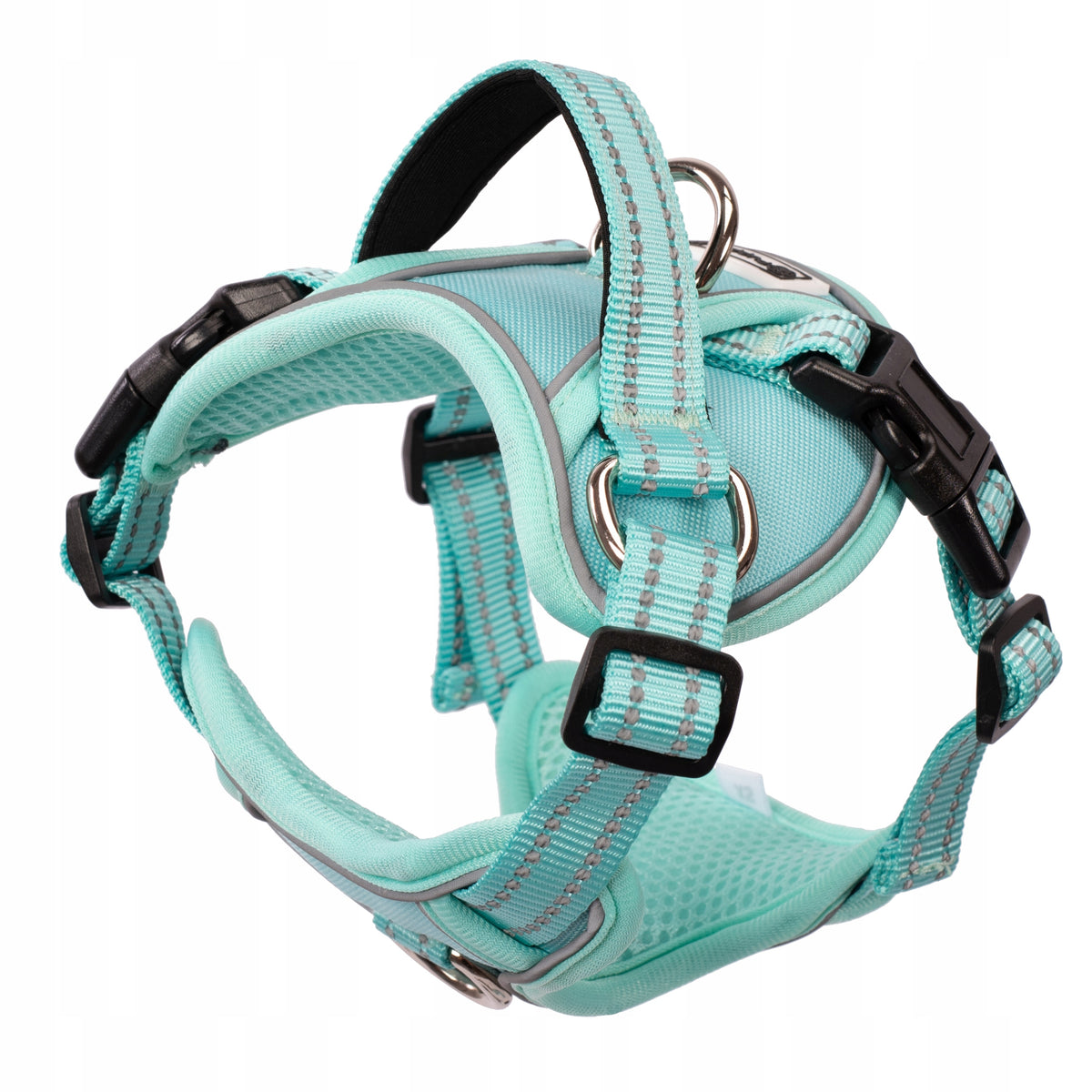 DOG HARNESS AND LEASH REFLECTIVE PRESSURE-FREE ADJUSTABLE GREEN XS Packaging status original