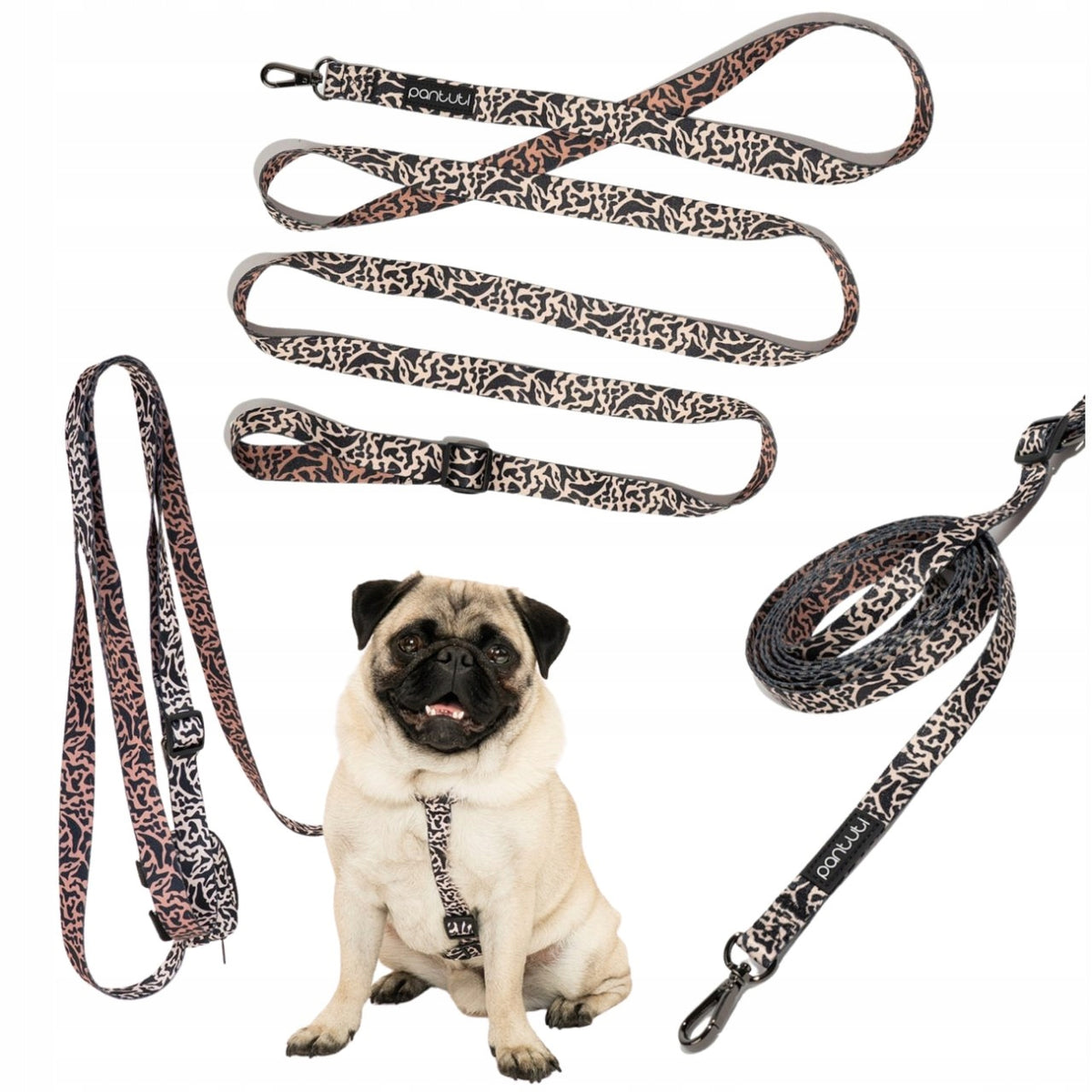 DOG LEASH ADJUSTABLE FOR DOG CLIPPED 3M SAFARI IN SPOTS M
