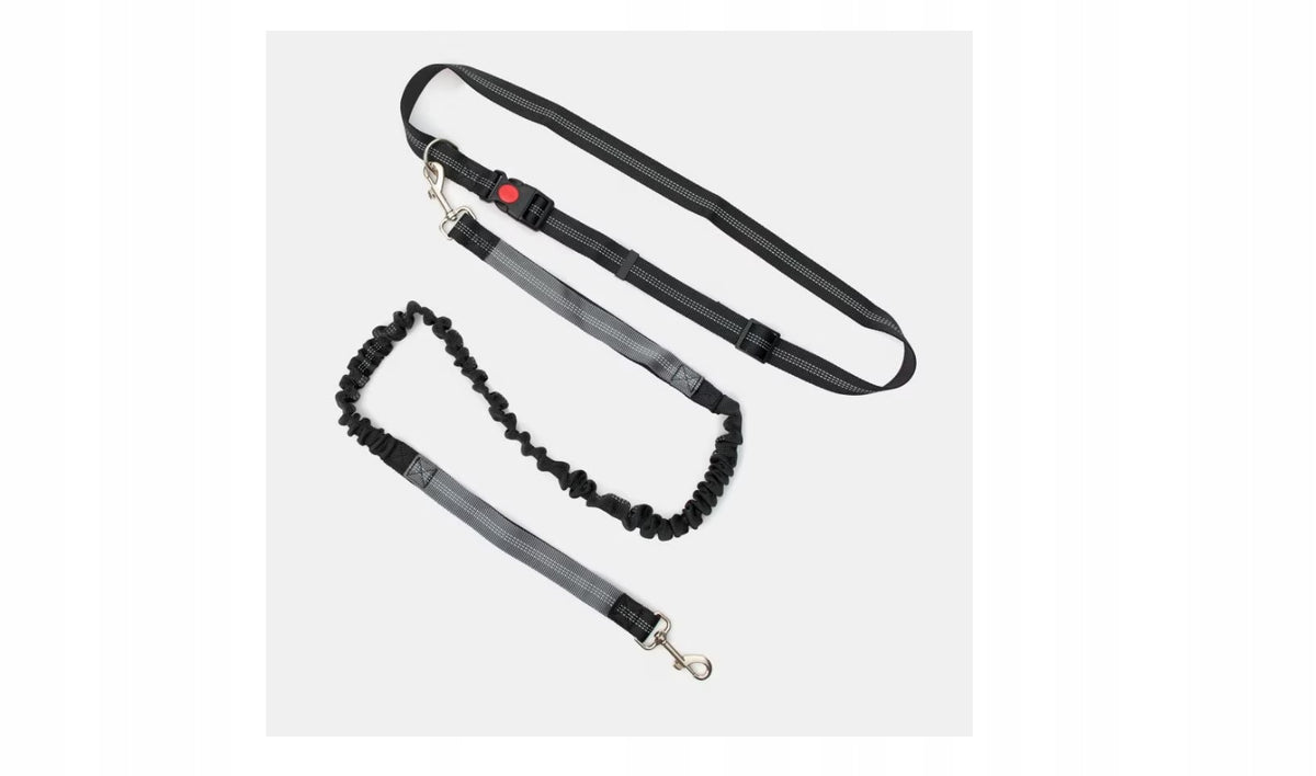 DOG LEASH FOR BELT - SINSAY - BLACK