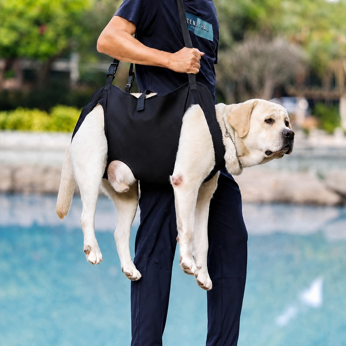 DOG LIFTING HARNESS WITH OXFORD ADJUSTABLE FOR BACK AND FRONT Manufacturer code 4069347593237