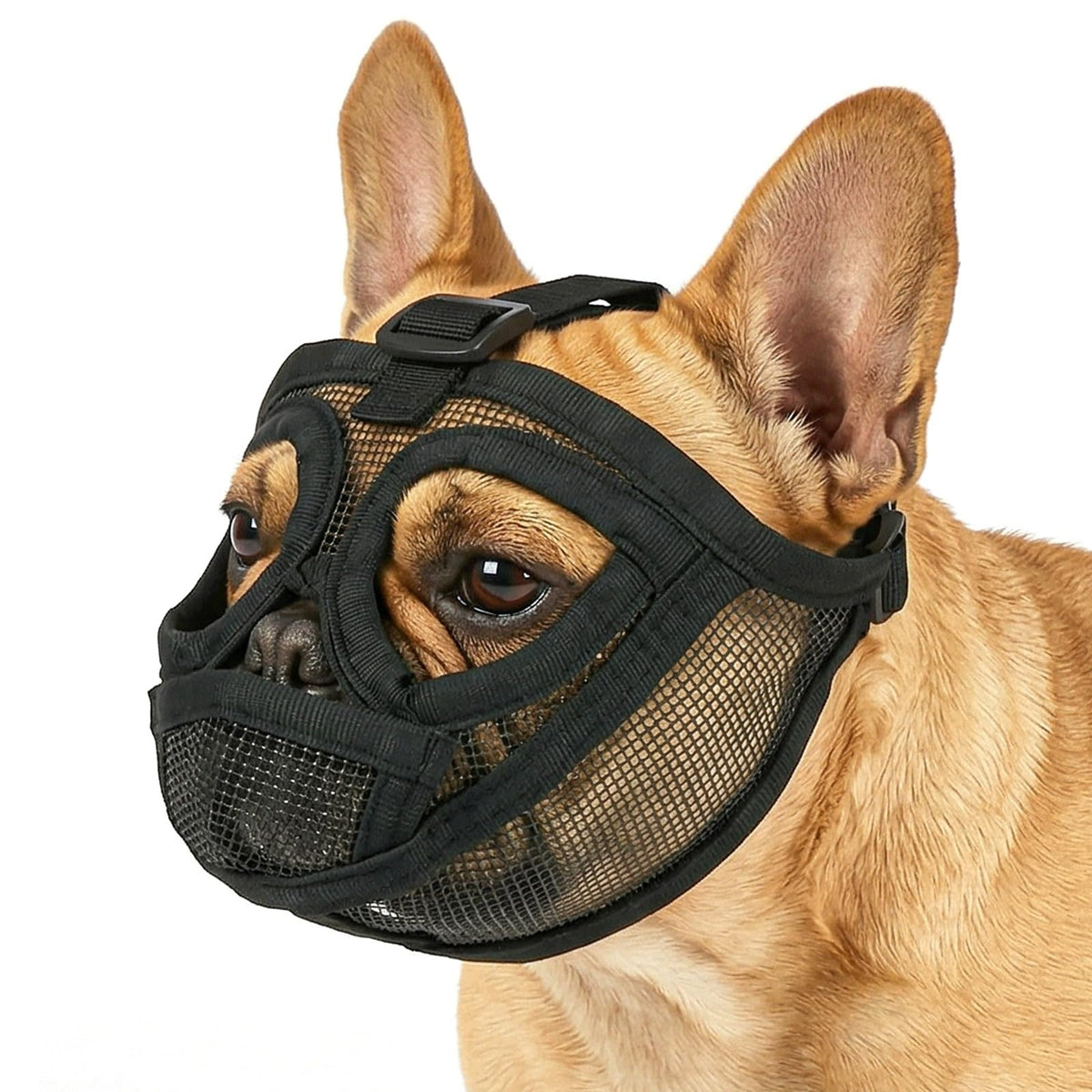 DOG MUZZLE MESH BLACK BREATHABLE ADJUSTABLE SIZE L CLOSURE