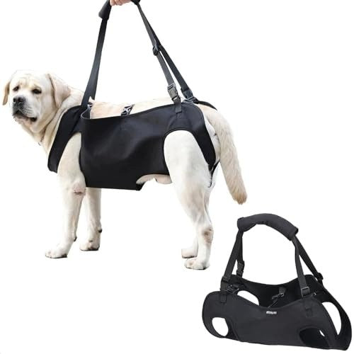 DOG REHABILITATION HARNESS FOR BACK PAWS ADJUSTABLE for home gift Manufacturer code SWC5908201185074