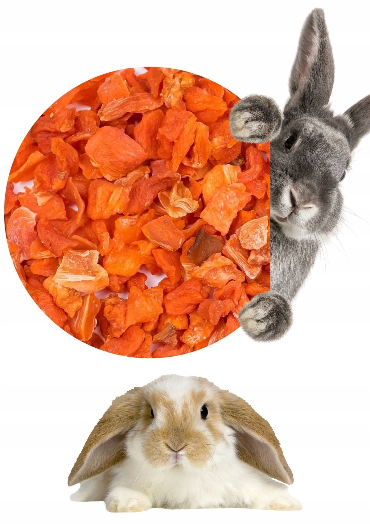 DRIED CARROTS CUBE FOR RODENTS 100G