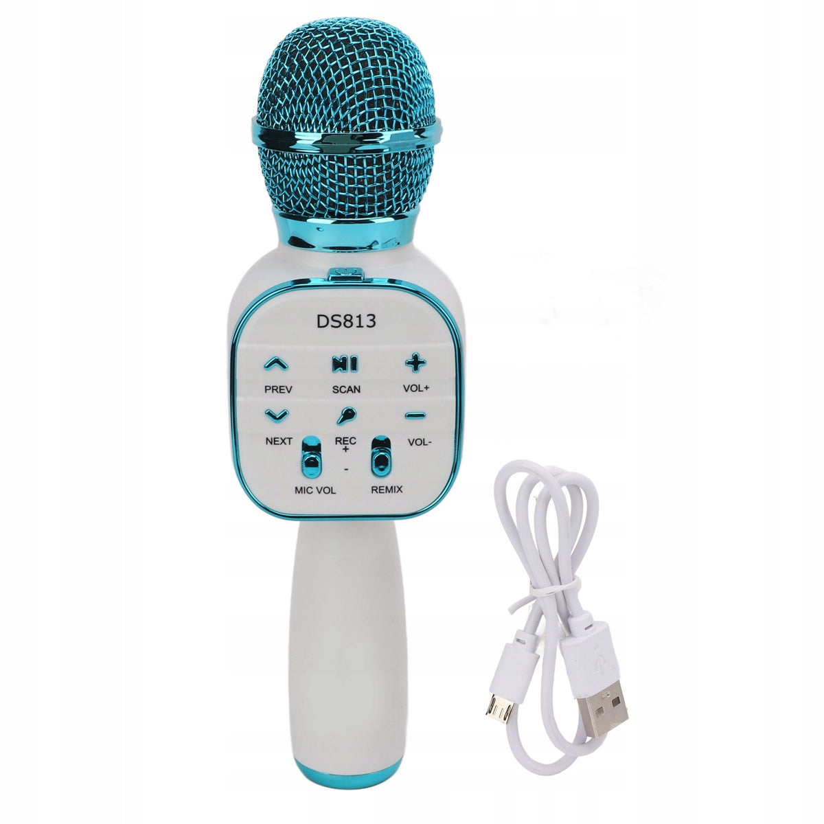 DS813 Wireless Bluetooth Microphone Reverb Sound Effect 8W