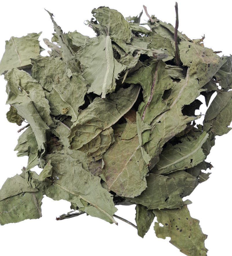 Dandelion Leaf 500 g