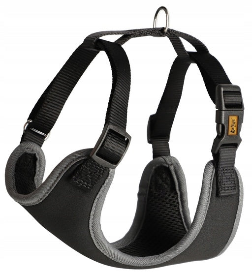 Dingo Pressure-free harness with two-strap adjustment S black