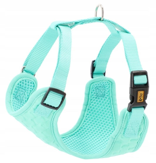 Dingo Pressure-free harness with two-strap adjustment S mint