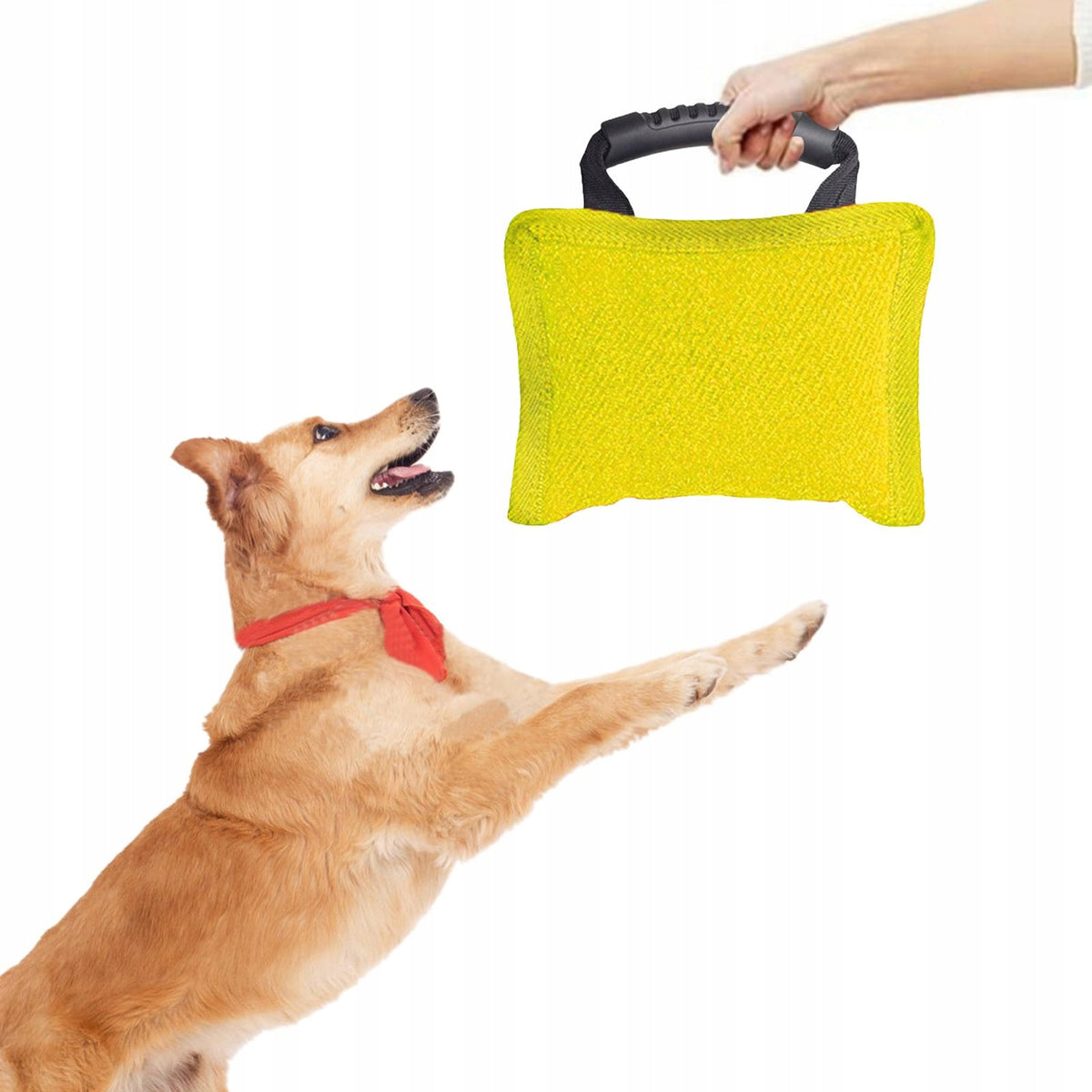 Dog Bite Pillow for Small and Medium Sized Dogs Premium with Strong Yellow