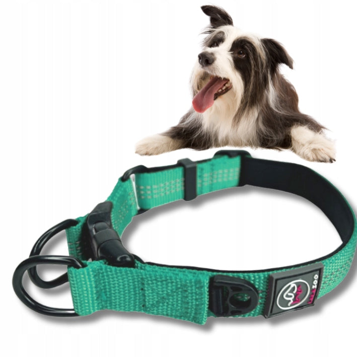 Dog COLLAR STRONG RICO 30-40CM reflective double ring TURQUOISE - M