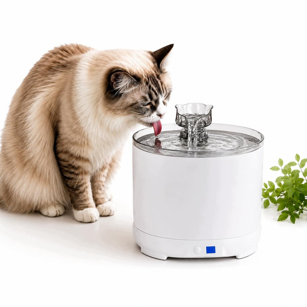 Dog Cat Drinker Fountain Wireless with Motion Sensor Water Bowl