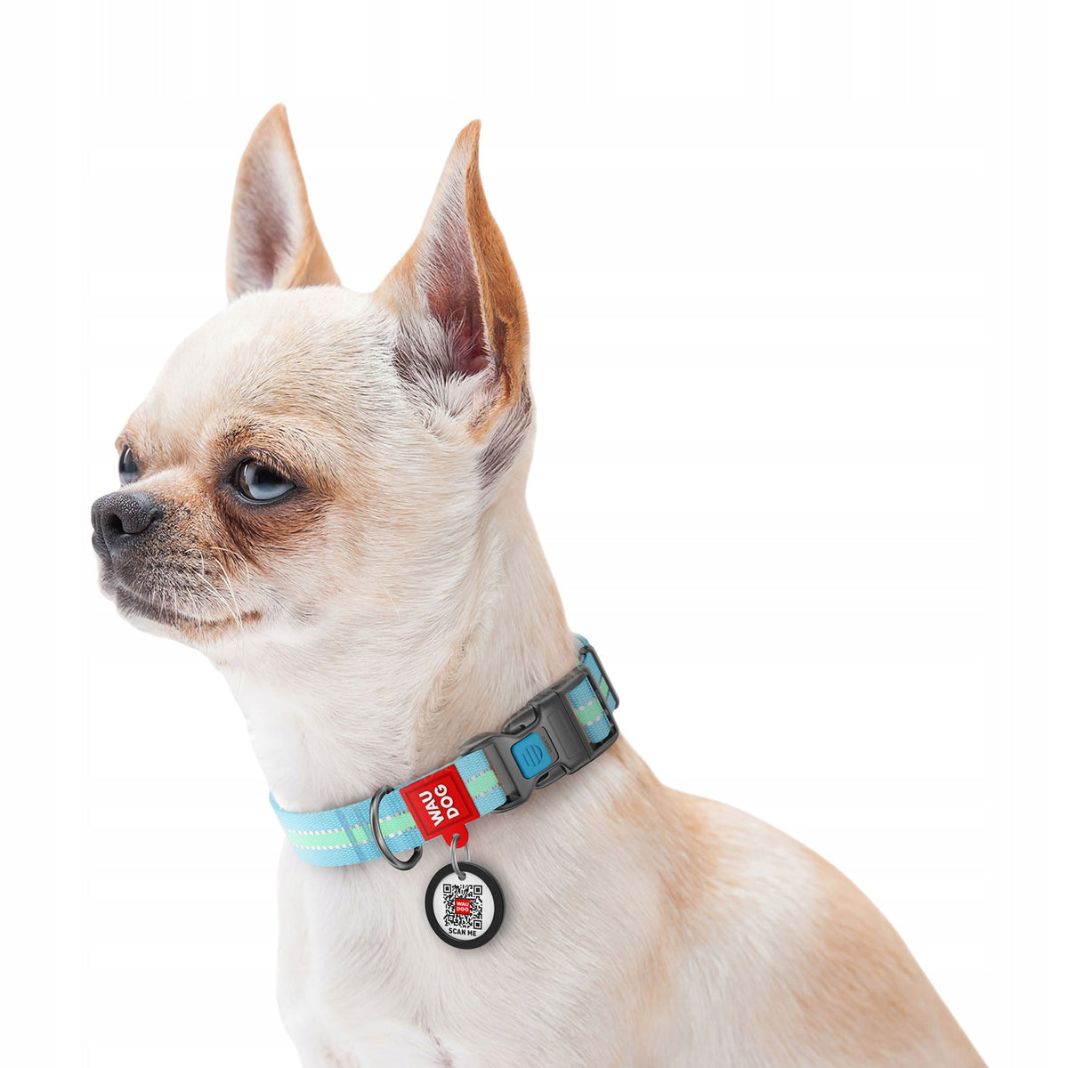 Dog Collar Accumulating Light, Reflective, Blue, Size S Packaging status original