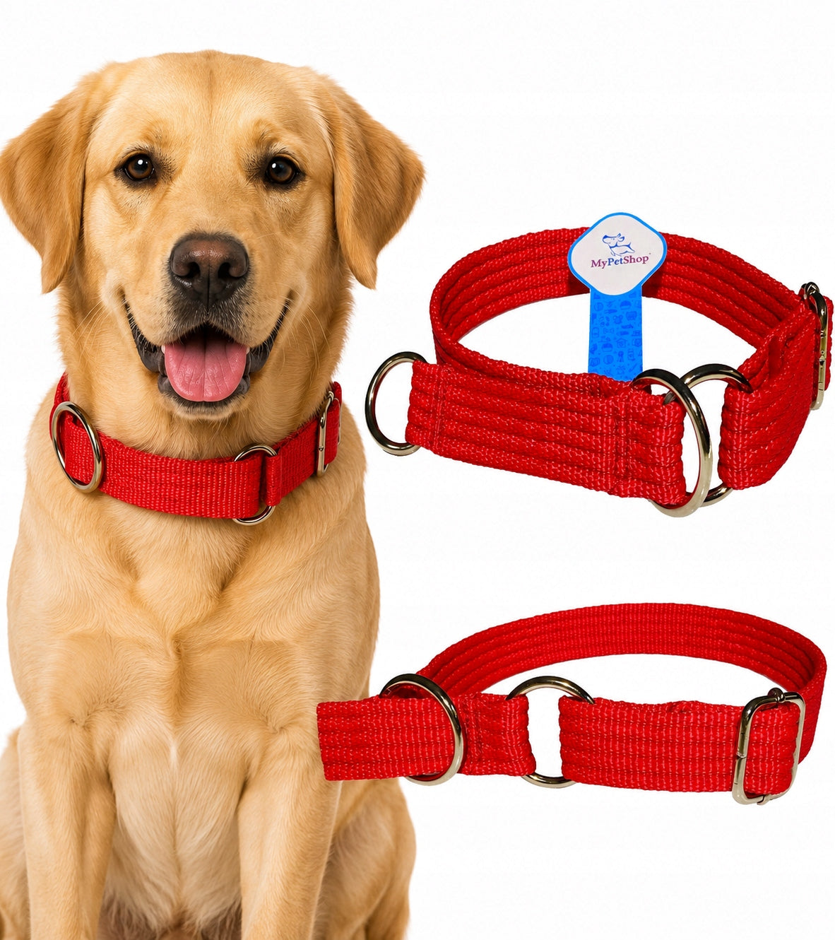 Dog Collar Behavioral Clamp Width 25 mm. Adjustable Smoothly Packaging status original