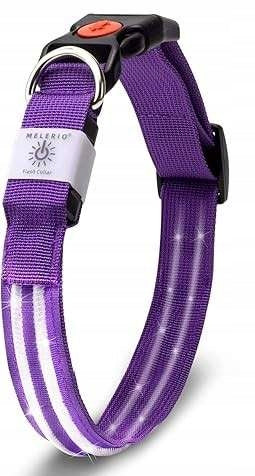 Dog Collar Glowing LED USB Adjustable Color Purple Size S