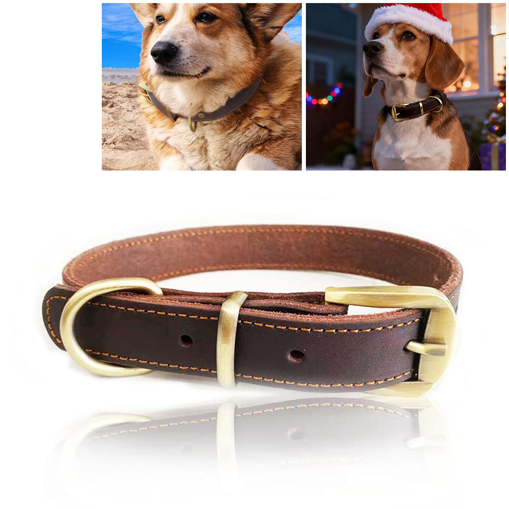 Dog Collar Leather M Manufacturer code 56DLO