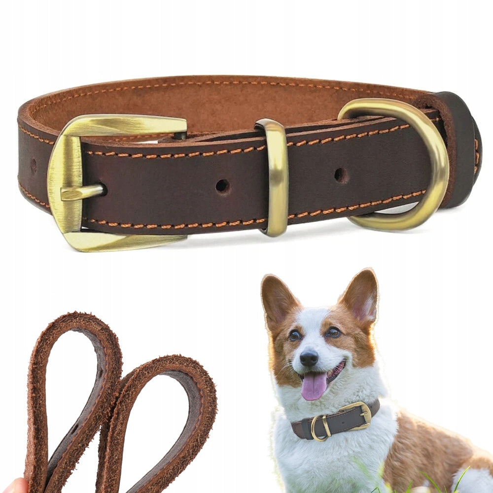Dog Collar Leather M