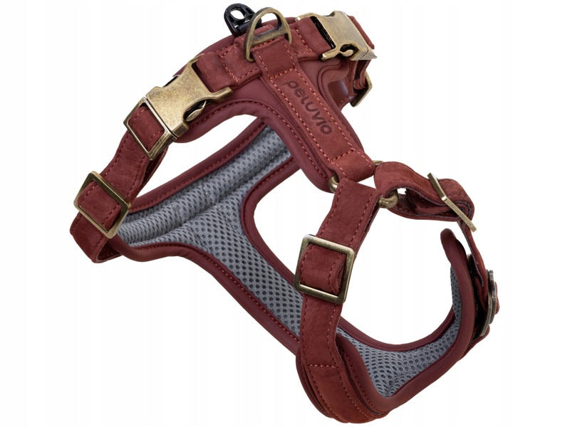 Dog Harness PELUVIO Lord L Brown