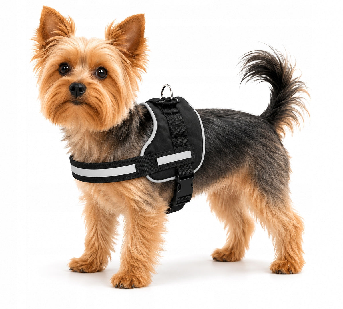 Dog Harness ZooFari M Adjustable Reflective S Strong 38-50 cm
