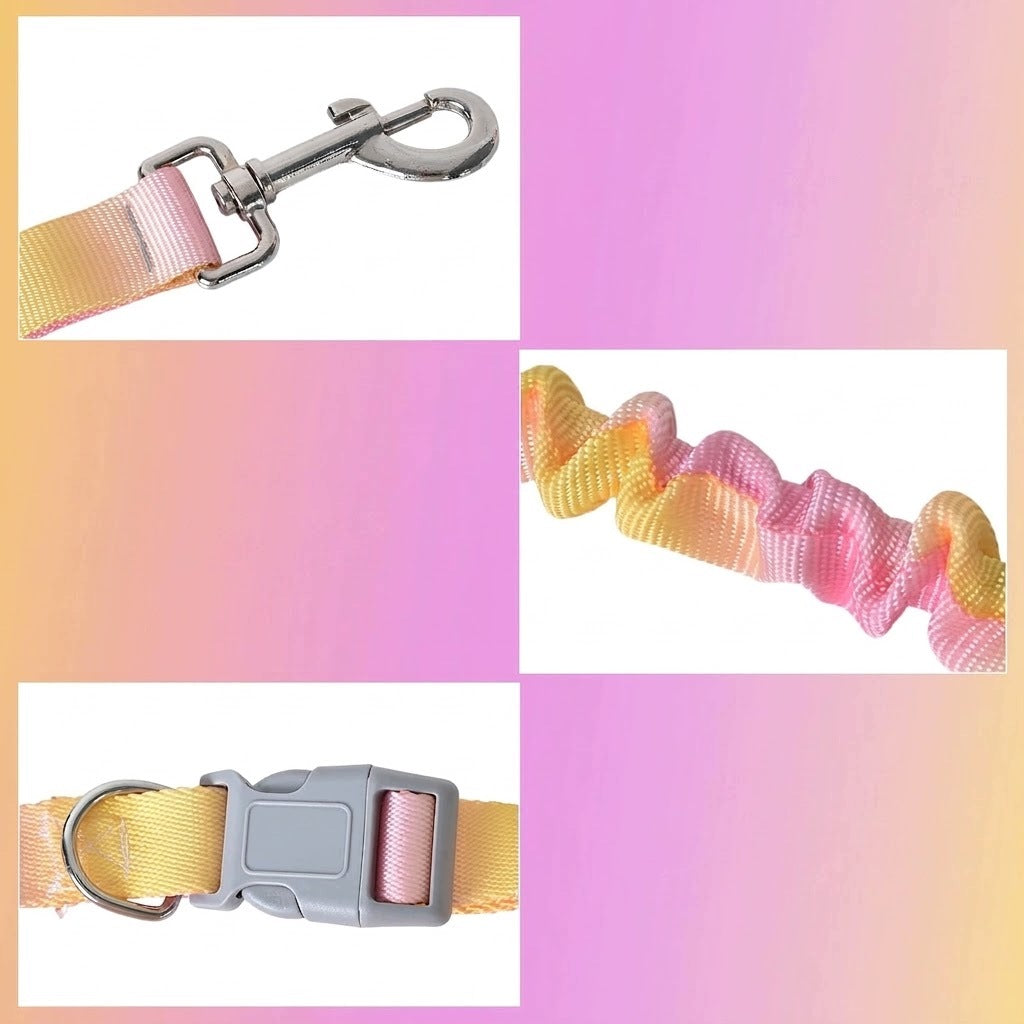 Dog Leash and Collar Universal Colorful Manufacturer code B0F6JPMKBS