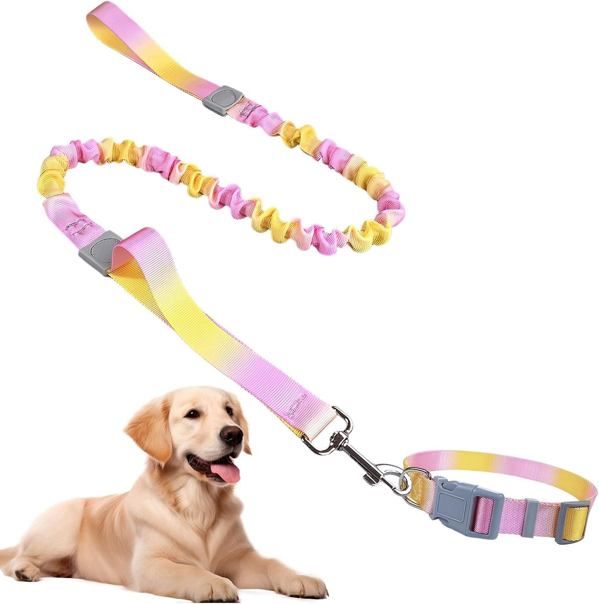 Dog Leash and Collar Universal Colorful