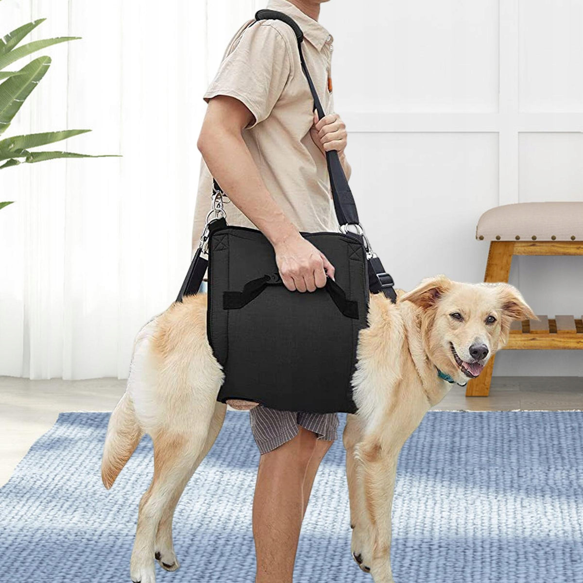 Dog Lift Support Harness for Back Legs Pet