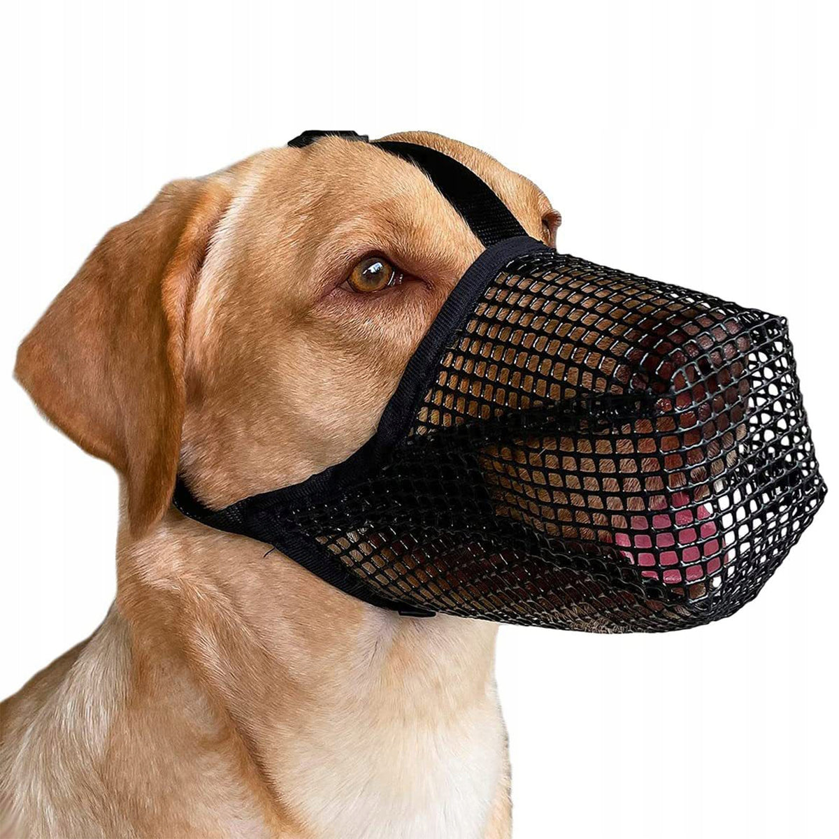 Dog Muzzle Soft Mesh, For Small/Large Dogs-M Manufacturer code A3-harry-JH584-gy-M