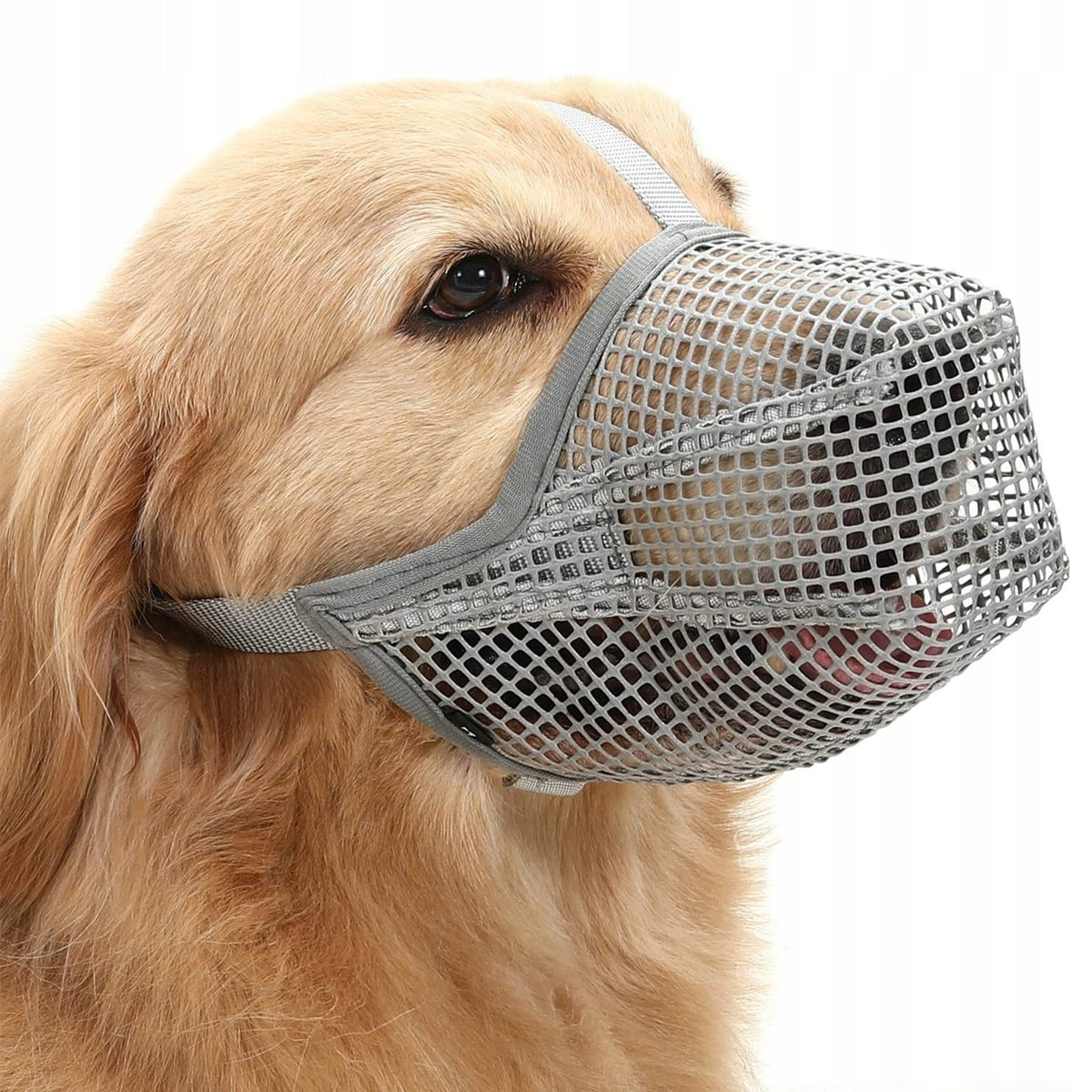 Dog Muzzle Soft Mesh, For Small/Large Dogs-M