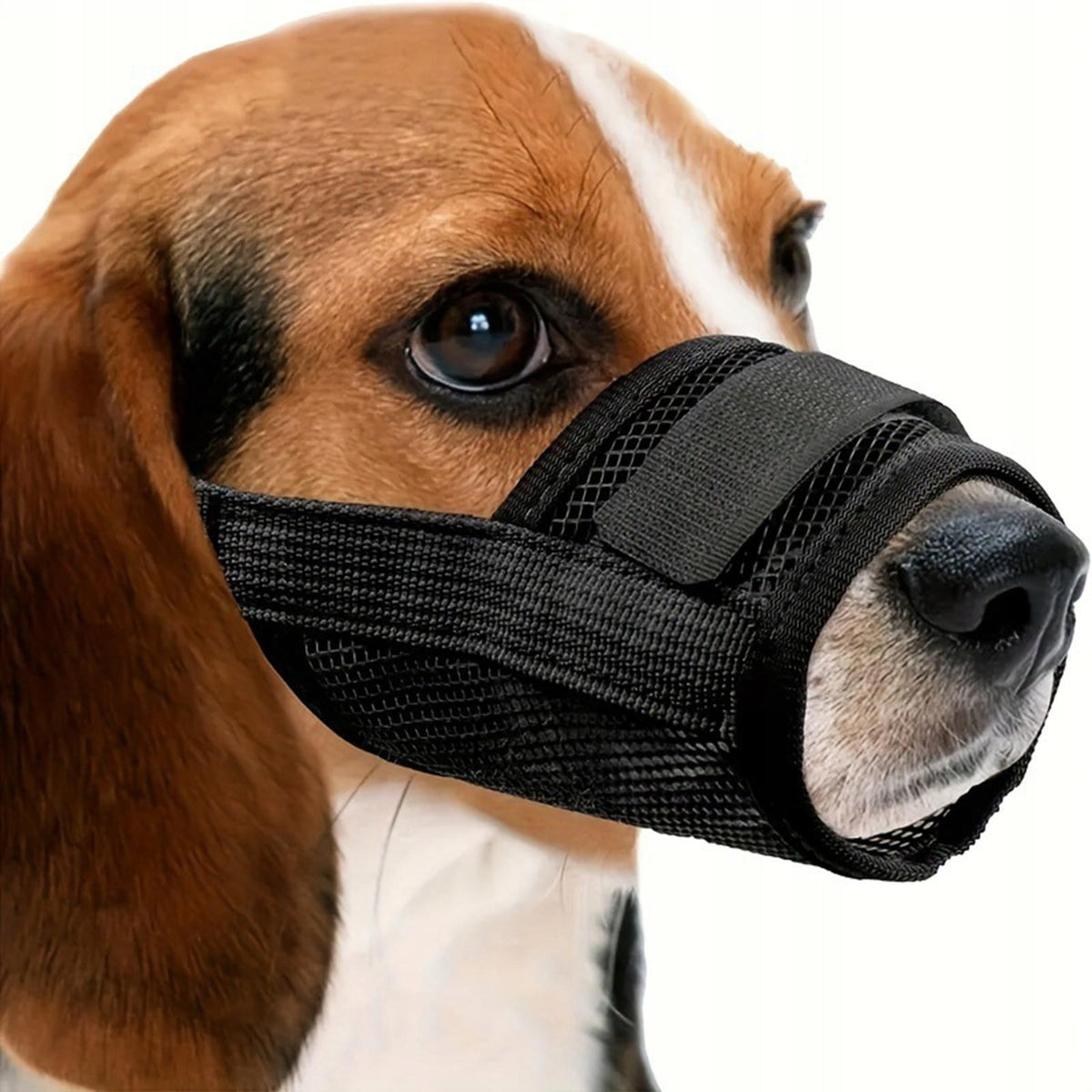 Dog Muzzle for Small, Medium & Large Dogs Breathable Anti Barking L Packaging status original