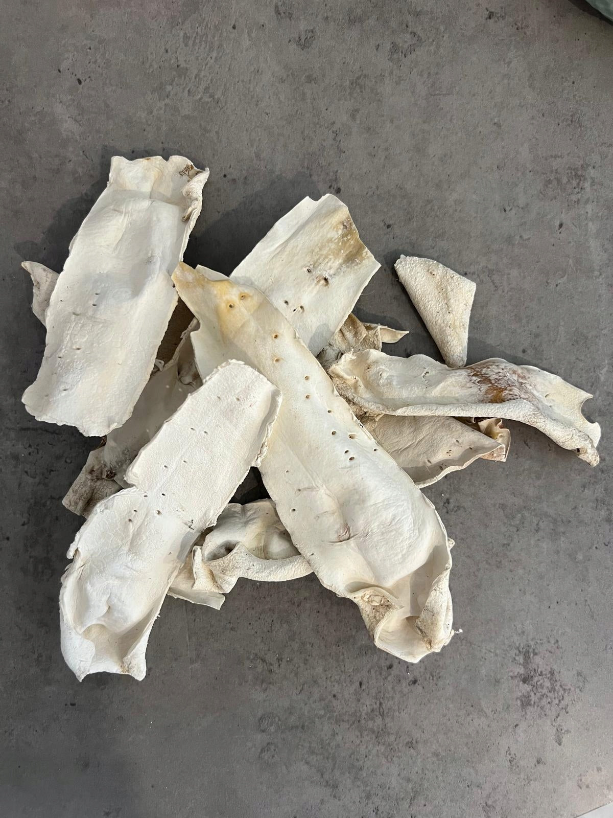 Dog Teether Aorta Dried Beef 100 g Packaging status original