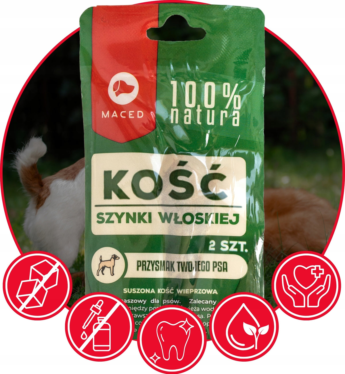 Dog Teether Maced 100% Natural Italian Ham Bone Treat 4 Pcs Packaging status original