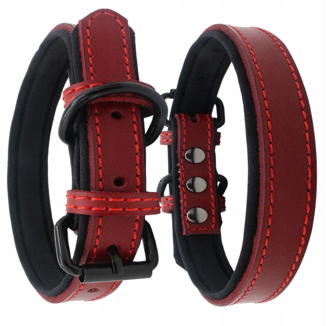 Dog collar Leather PETSTORY L 33-43cm