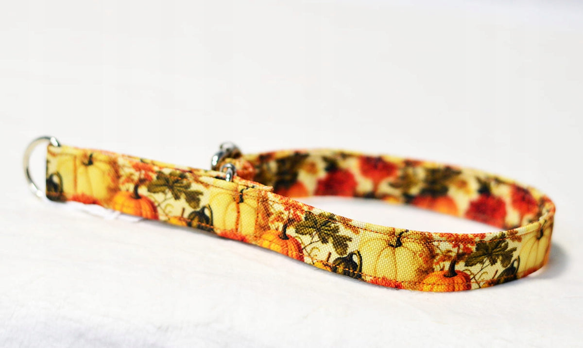 Dog collar PUMPKINS 2cm adjustment max 30 cm SEMI-CLAMP