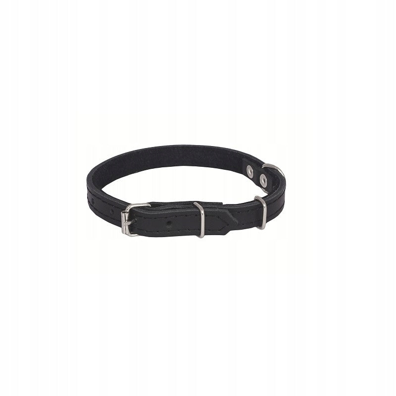 Dog collar leather Chaba r. M Manufacturer code 31-41