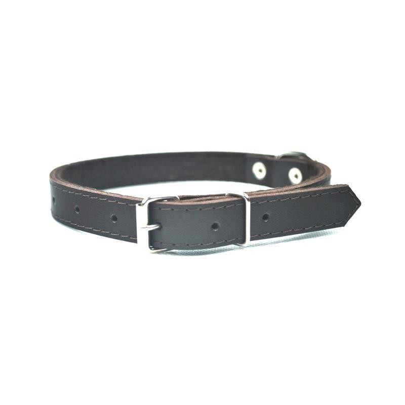 Dog collar leather Chaba r. M