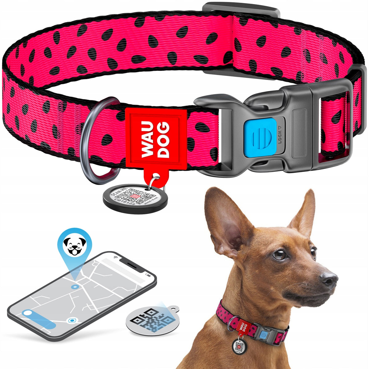 Dog collar light nylon with QR code, Watermelon pattern, fastex buckle, r. S
