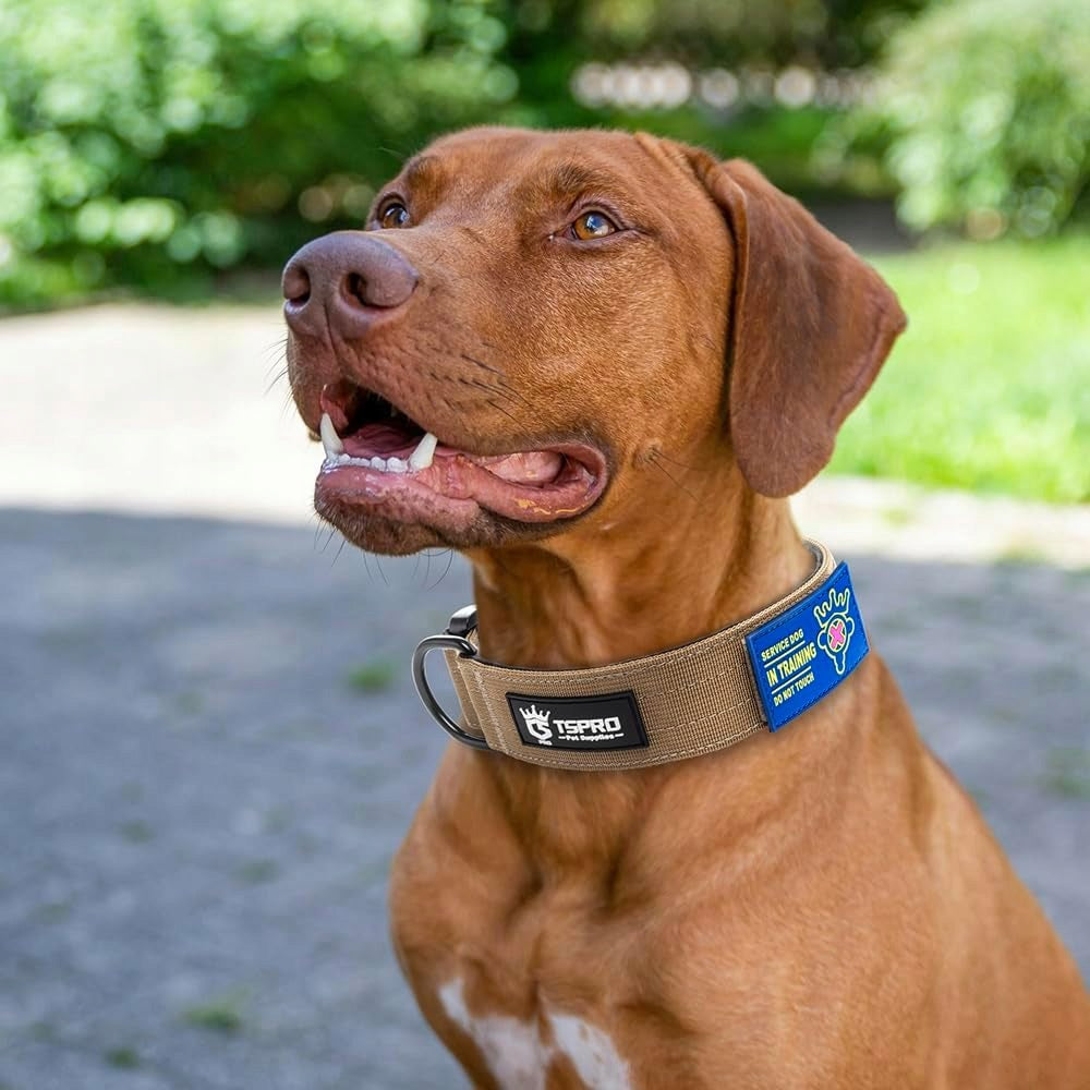 Dog collar training material Psakota r. M Manufacturer code OBDPKB1