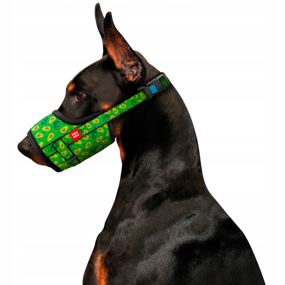 Dog muzzle, Avocado, size S, 14-20 cm Brand Waudog