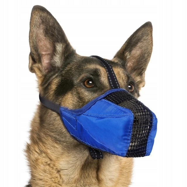 Dog muzzle XS Blue