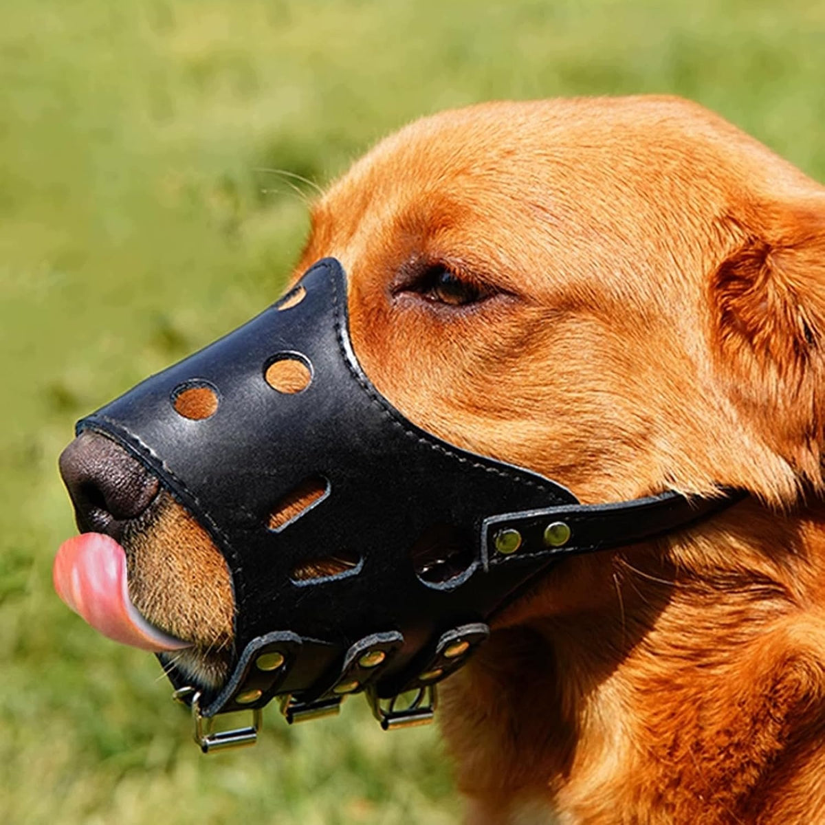 Dog muzzle adjustable M lightweight breathable black Manufacturer code B0FM3KRFDY