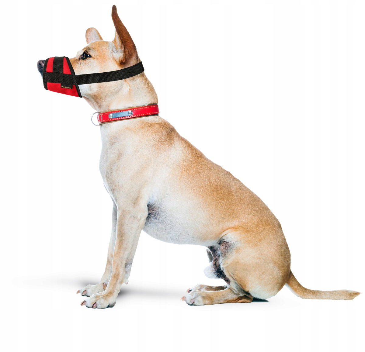 Dog muzzle r.7(XXXL)KA/P/7(XXXL)