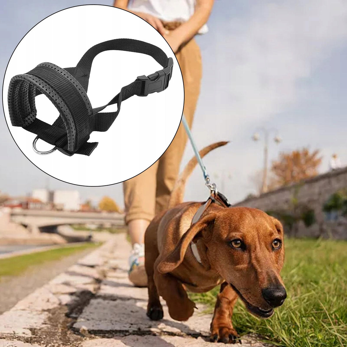 Dogs Muzzle Portable Protective Comfortable Prevent Biting Chewing for M