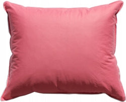 Down pillow 70x80 2 kg